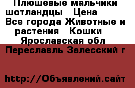 Плюшевые мальчики шотландцы › Цена ­ 500 - Все города Животные и растения » Кошки   . Ярославская обл.,Переславль-Залесский г.